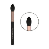 Precision Powder Applicator AF-05