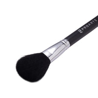 Powder Brush PF-06