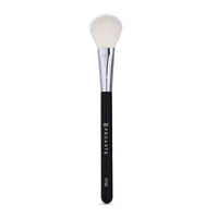 Blush Brush PF-55