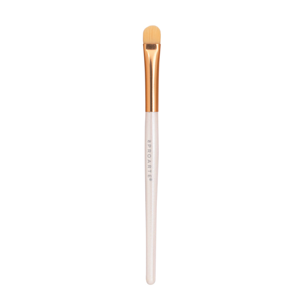 Proarte shine on brush set
