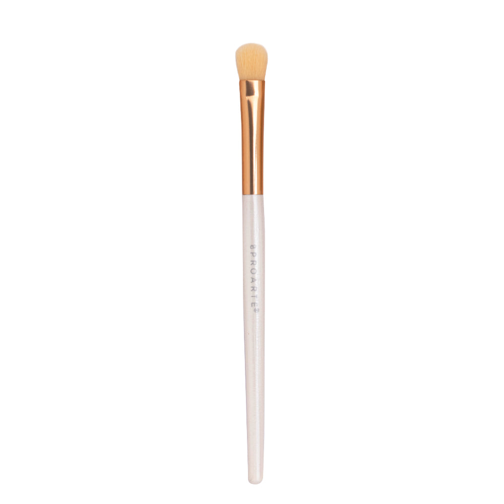 Proarte shine on brush set