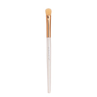 Proarte shine on brush set