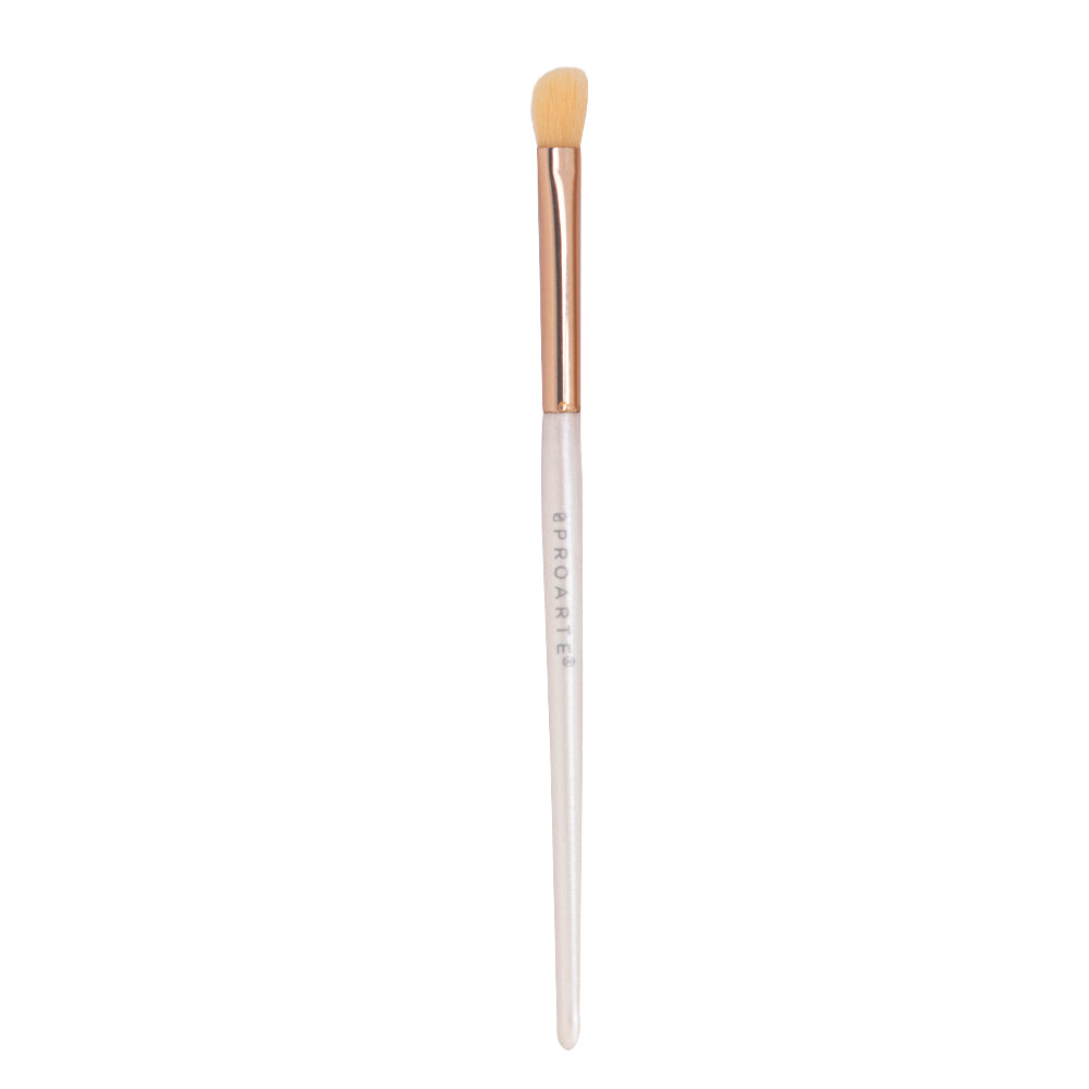 Proarte shine on brush set