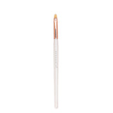Proarte shine on brush set