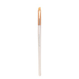 Proarte shine on brush set